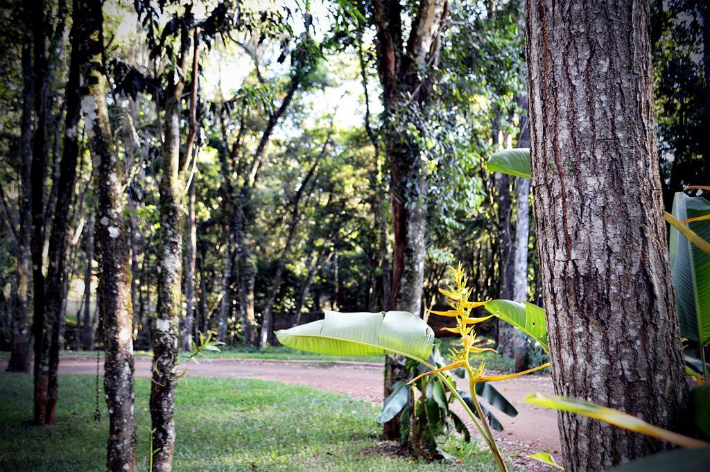 Cabanas Las Termas Willa Oberá Zewnętrze zdjęcie
